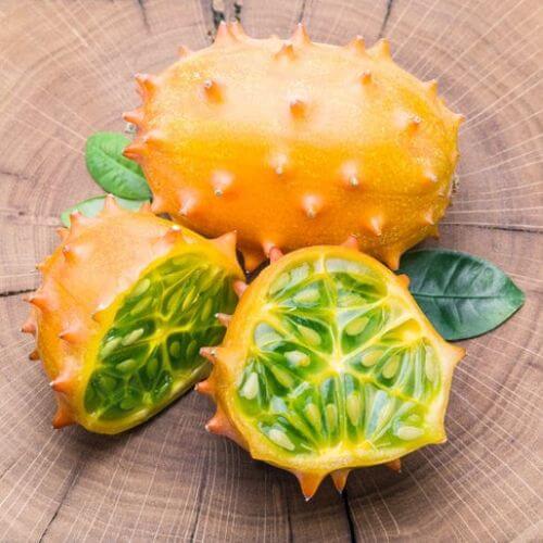 Plant de Kiwano (Concombre Cornu d'Afrique)