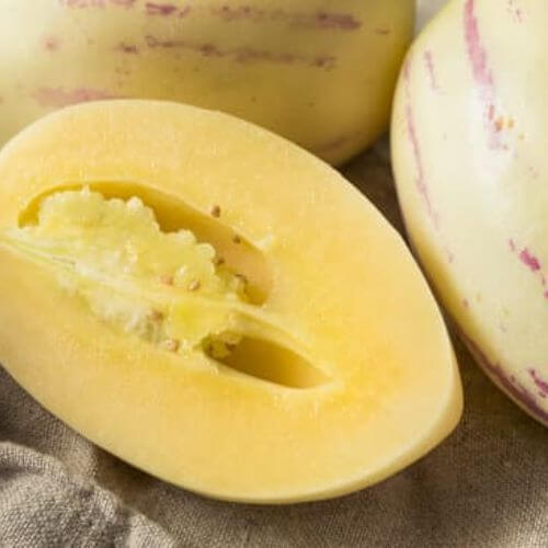 Pepino - Poire-melon (Solanum muricatum)