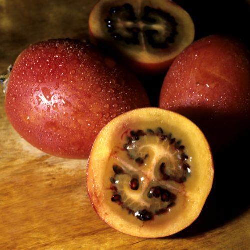 Tomate en Arbre - Tamarillo (Cyphomandra betacea)