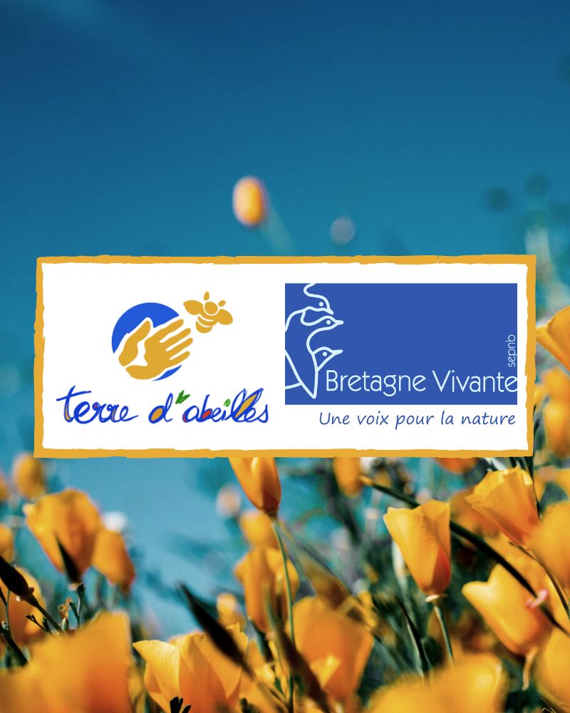 Afin de préserver la biodiversité, EDHEN FOOD a décidé de soutenir les associations françaises Terre d'abeilles et Bretagne Vivante.