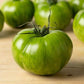 Plant de Tomate "Green Zebra"