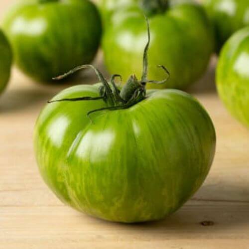 Plant de Tomate "Green Zebra"